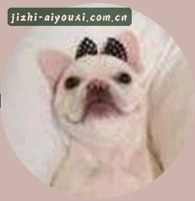 陈阳